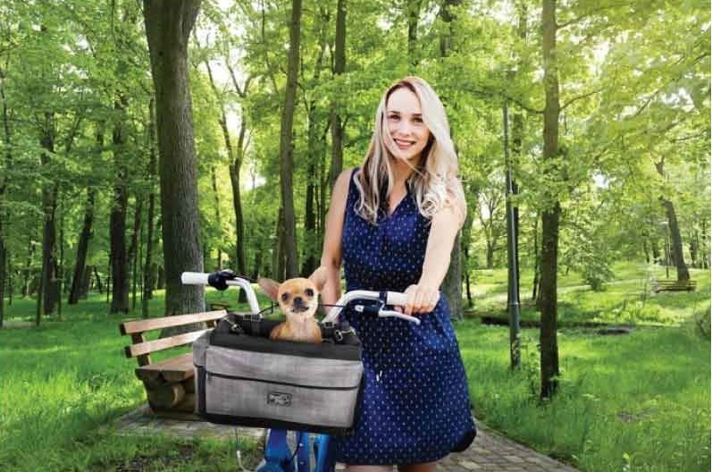 AFP Travel Dog Deluxe